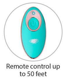 Health and Wellness Wireless Remote Control Egg